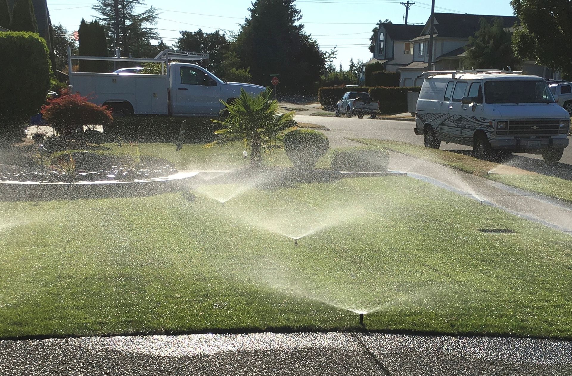 Sprinklers watering a green lawn in a suburban yard with cars parked on the street.