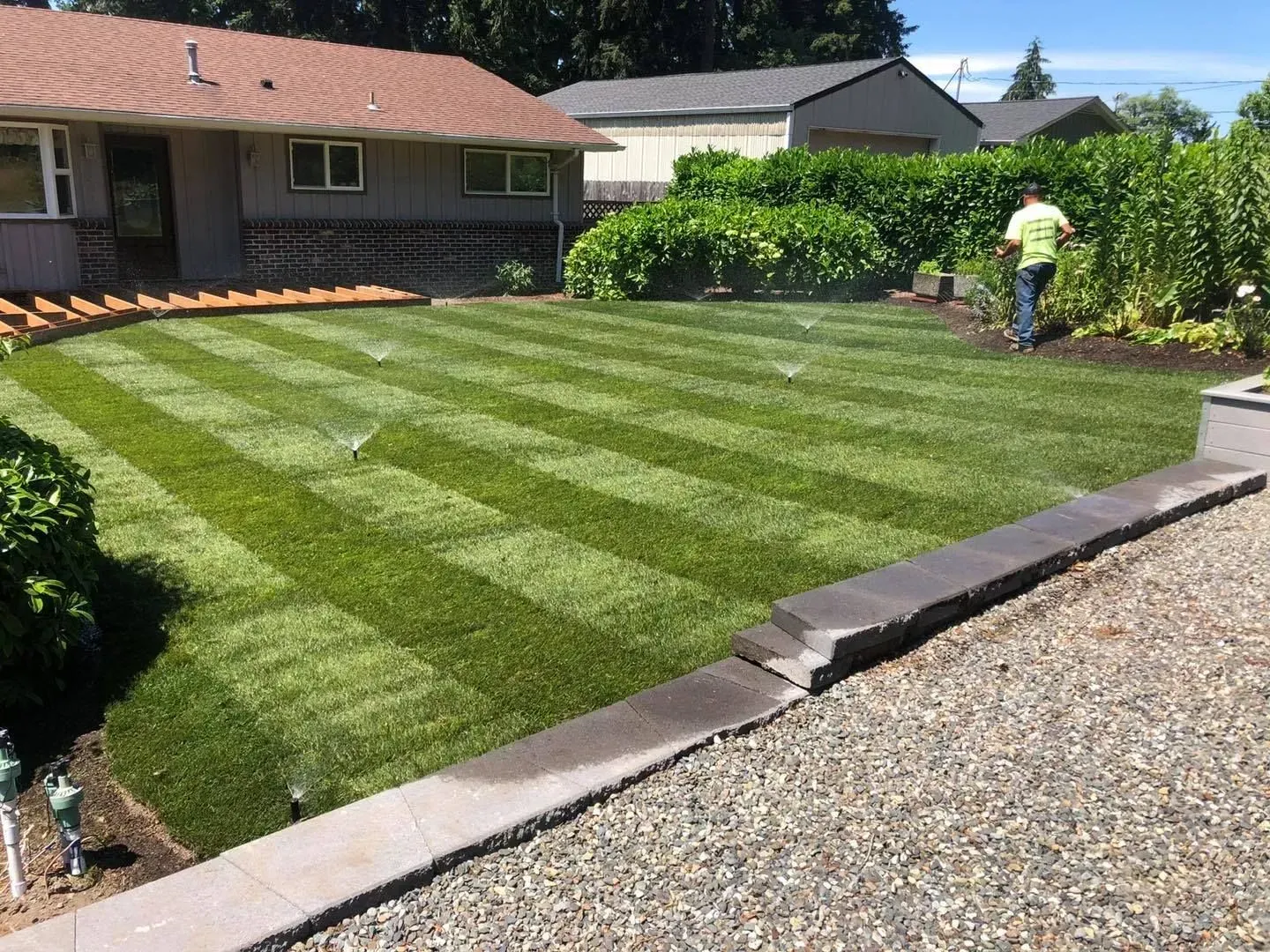 Lawn with stripes, sprinkler running. Man in yellow shirt waters lawn. House in background.