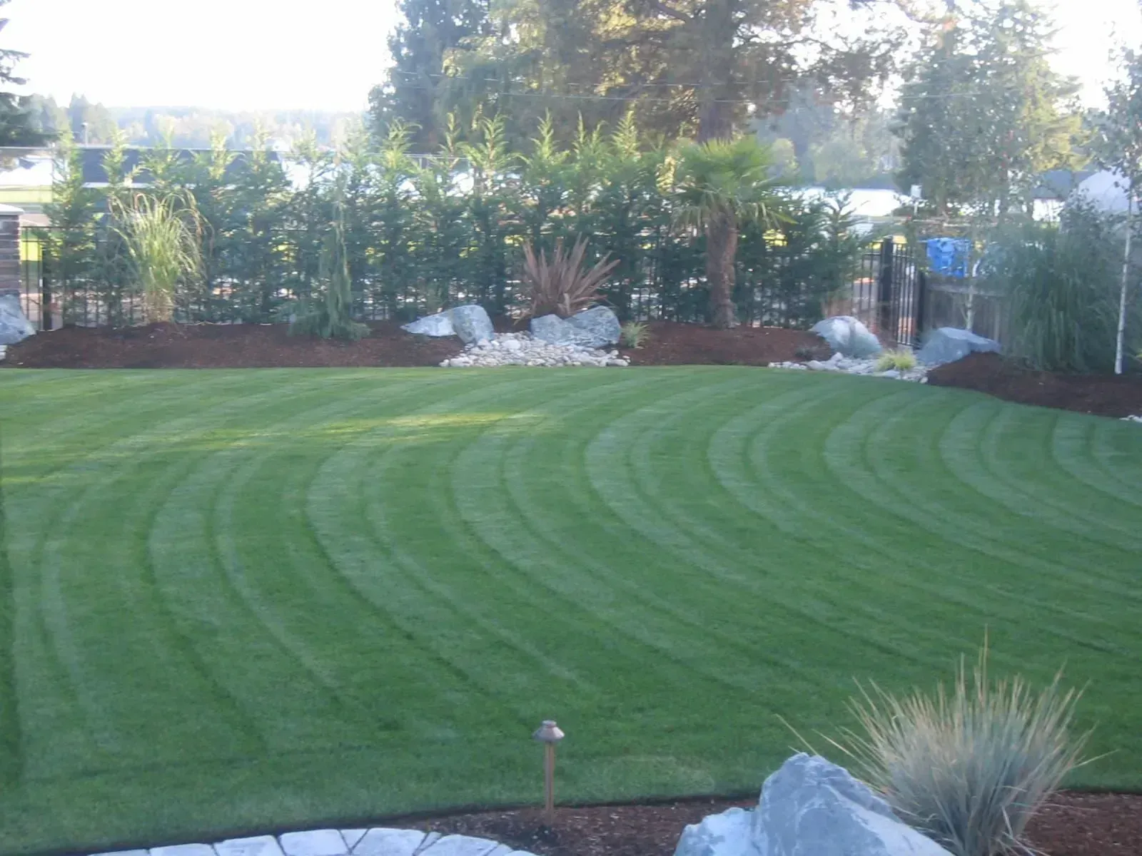 Well-manicured green lawn with curved mowing pattern, bordered by landscaping and trees.
