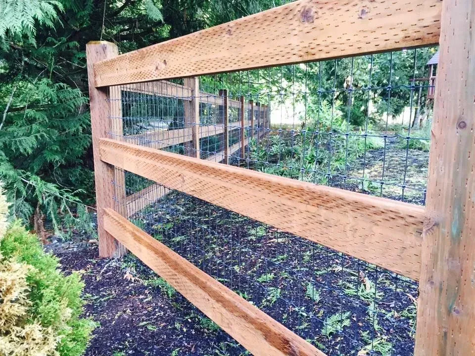Wooden fence with wire mesh in a garden.
