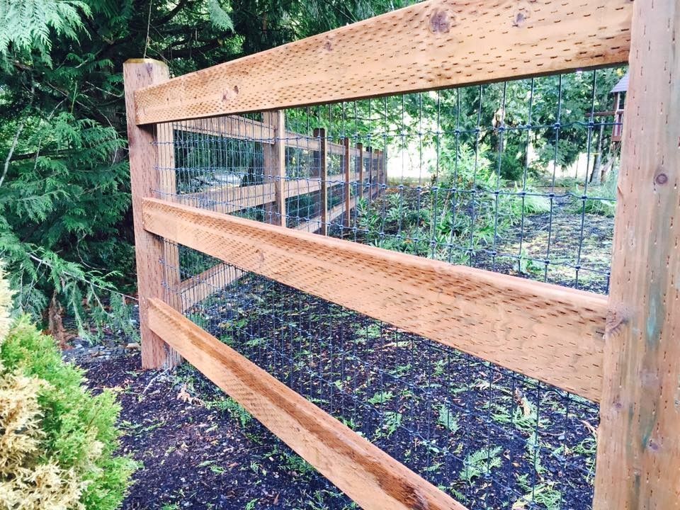 Wooden fence with wire mesh, surrounding a garden area.