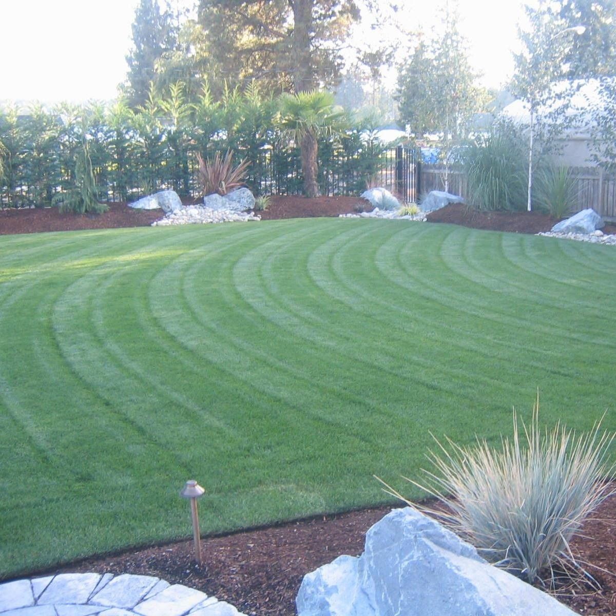 Green lawn with curved mowing pattern, edged with rocks, plants, and hedge.