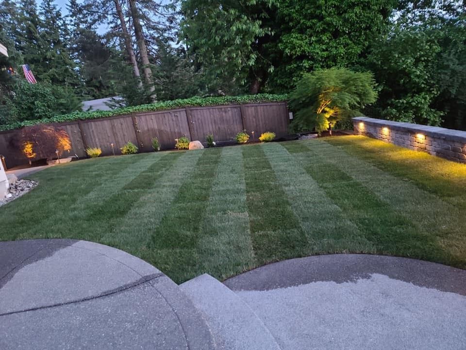 Lawn with striped mowing pattern, lined with flower beds and a wood fence, lit by spotlights.