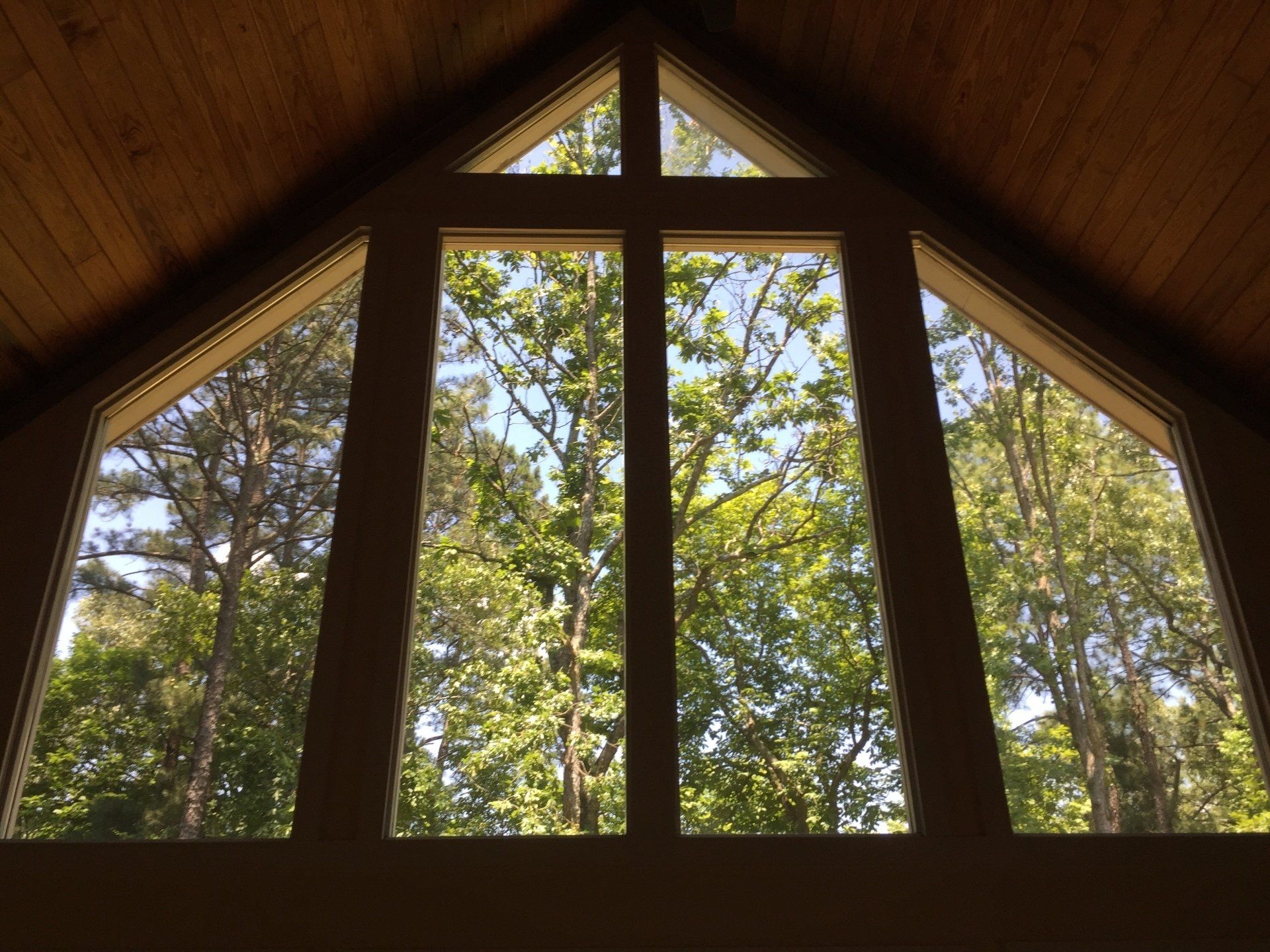 Residential Window Tinting