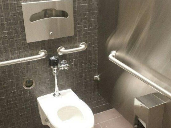 Washroom grab bars