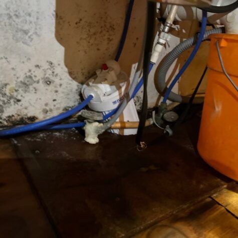 Under-sink plumbing area with a white filter or valve, blue hose, and orange bucket on a damp floor