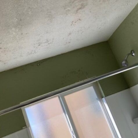 Tilted view of a bathroom ceiling with mildew stains, green wall, and shower rod above frosted shower doors