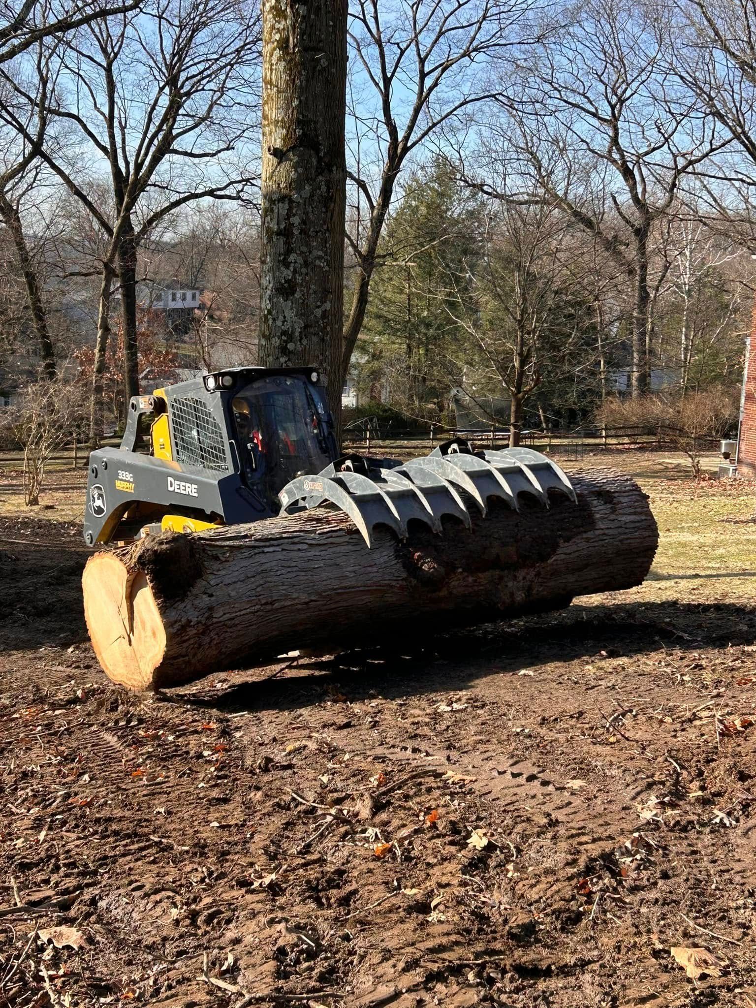 Excavator attachment grips a large log in a wooded park area in winter.