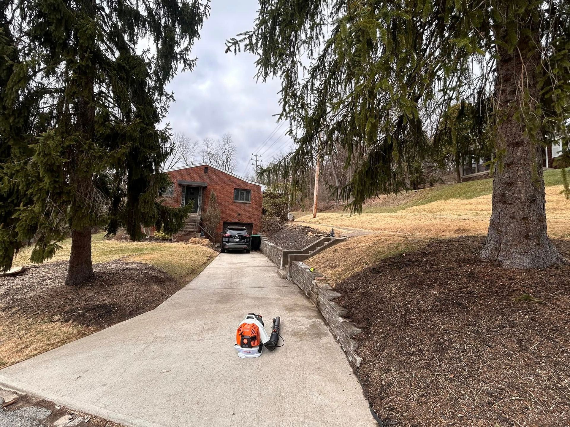 A small orange-and-white dog on a driveway leading to a brick house with trees on both sides.