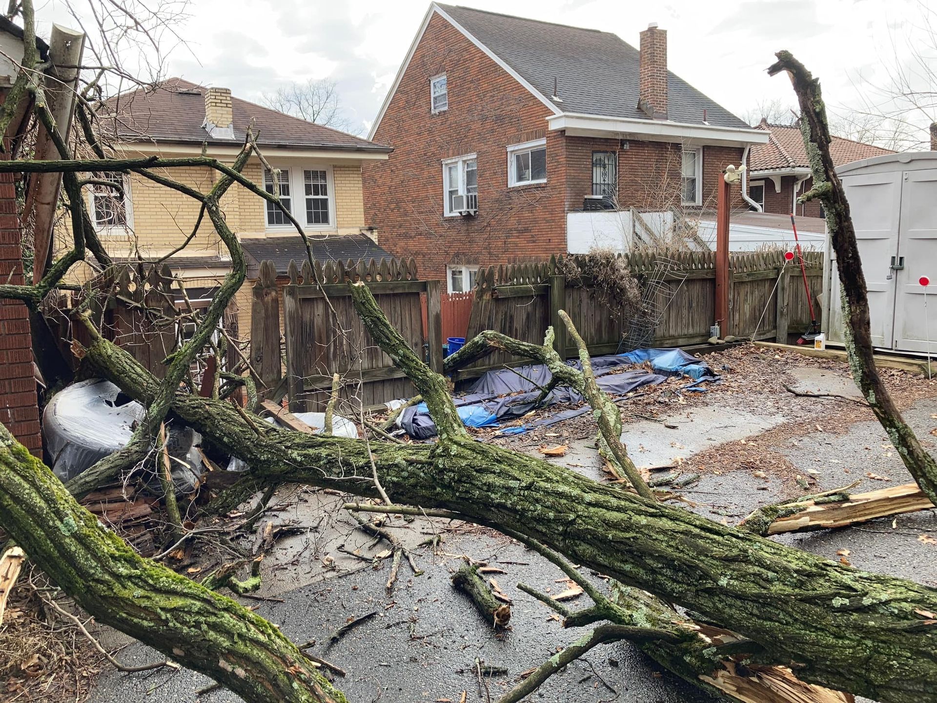 Fallen tree branches block a residential street beside a brick house after a storm.