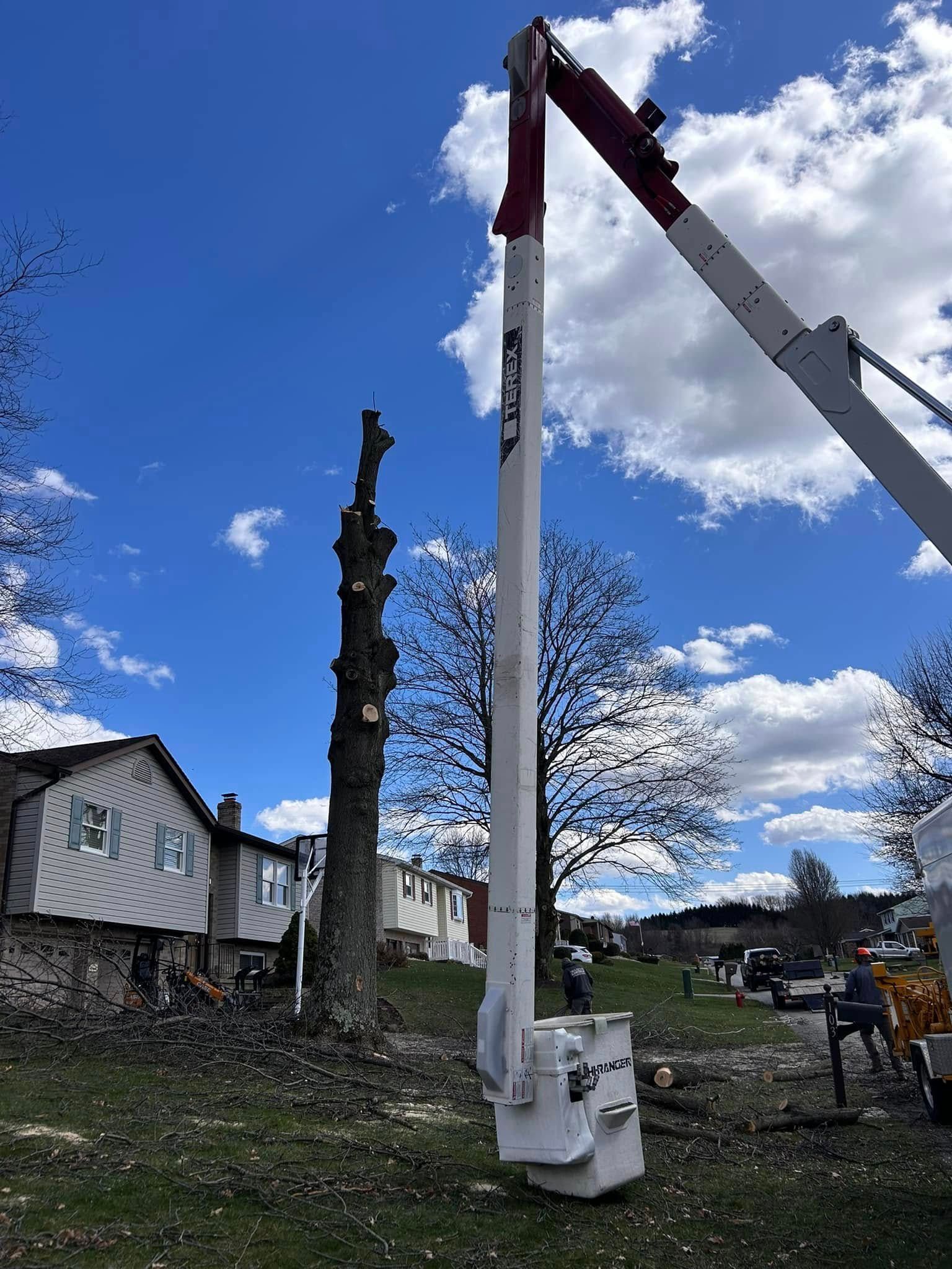 Tree-removal crane lifting a tall trunk beside a house under a bright blue sky
