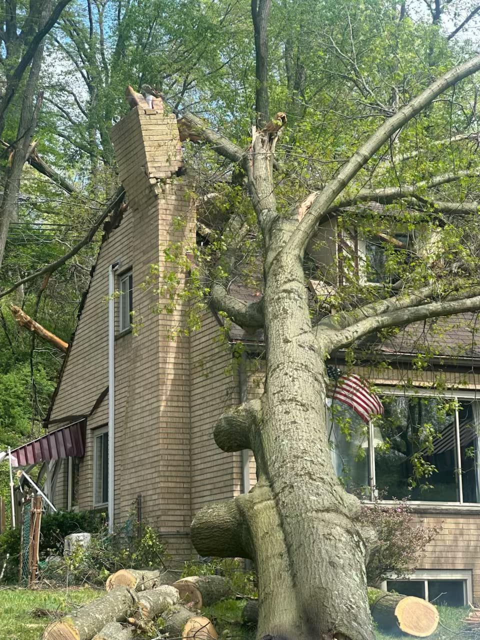 Brick house in a wooded yard with a large tree leaning against it and American flags by the windows.
