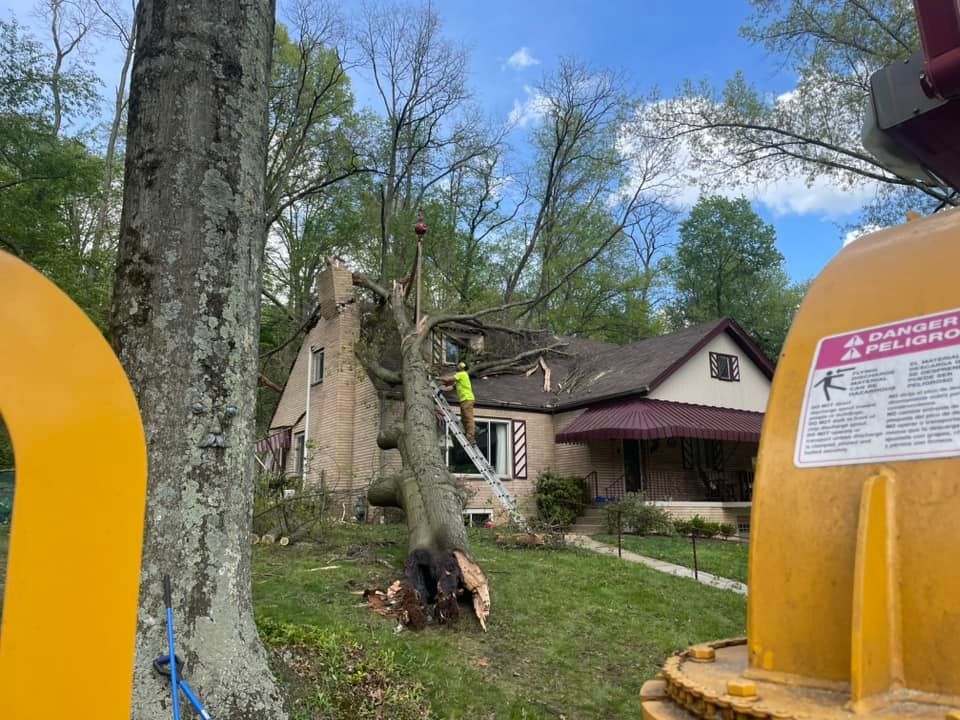House beside a fallen tree between two large yellow bins in a leafy yard
