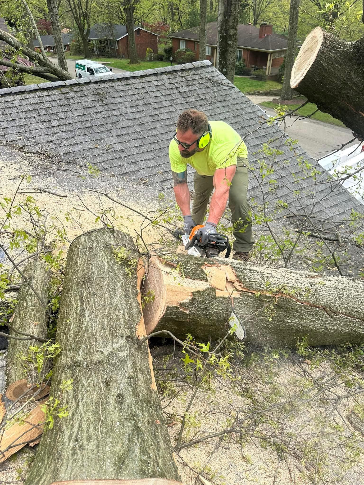 Worker in neon yellow shirt cutting a fallen tree trunk on a roof with a chainsaw