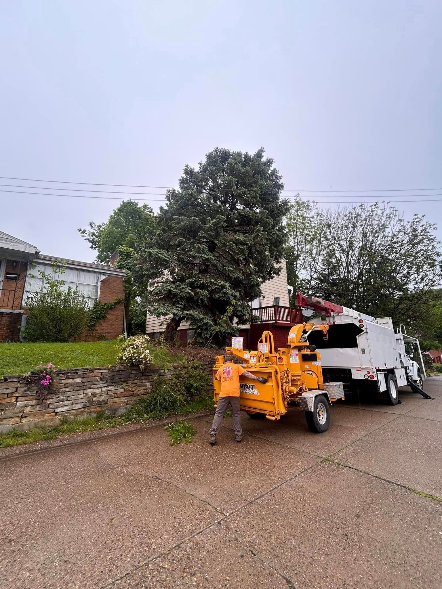 Orange utility vehicle beside a white truck on a roadside near trees and a house