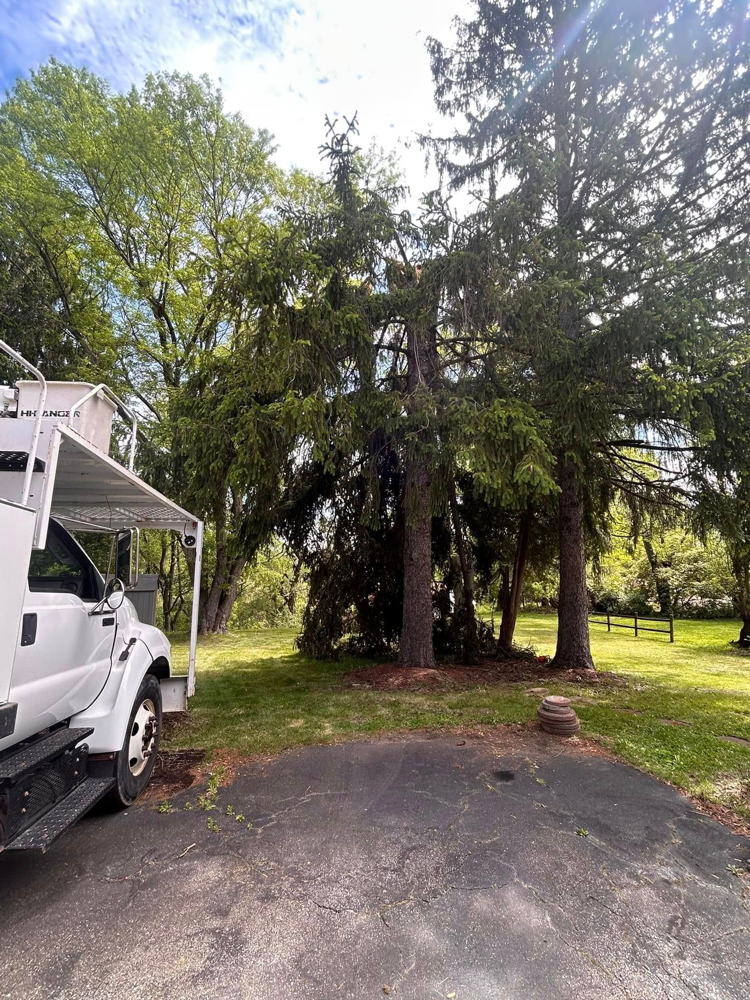 Tree-lined driveway with parked white truck and shaded grassy yard under a bright sky