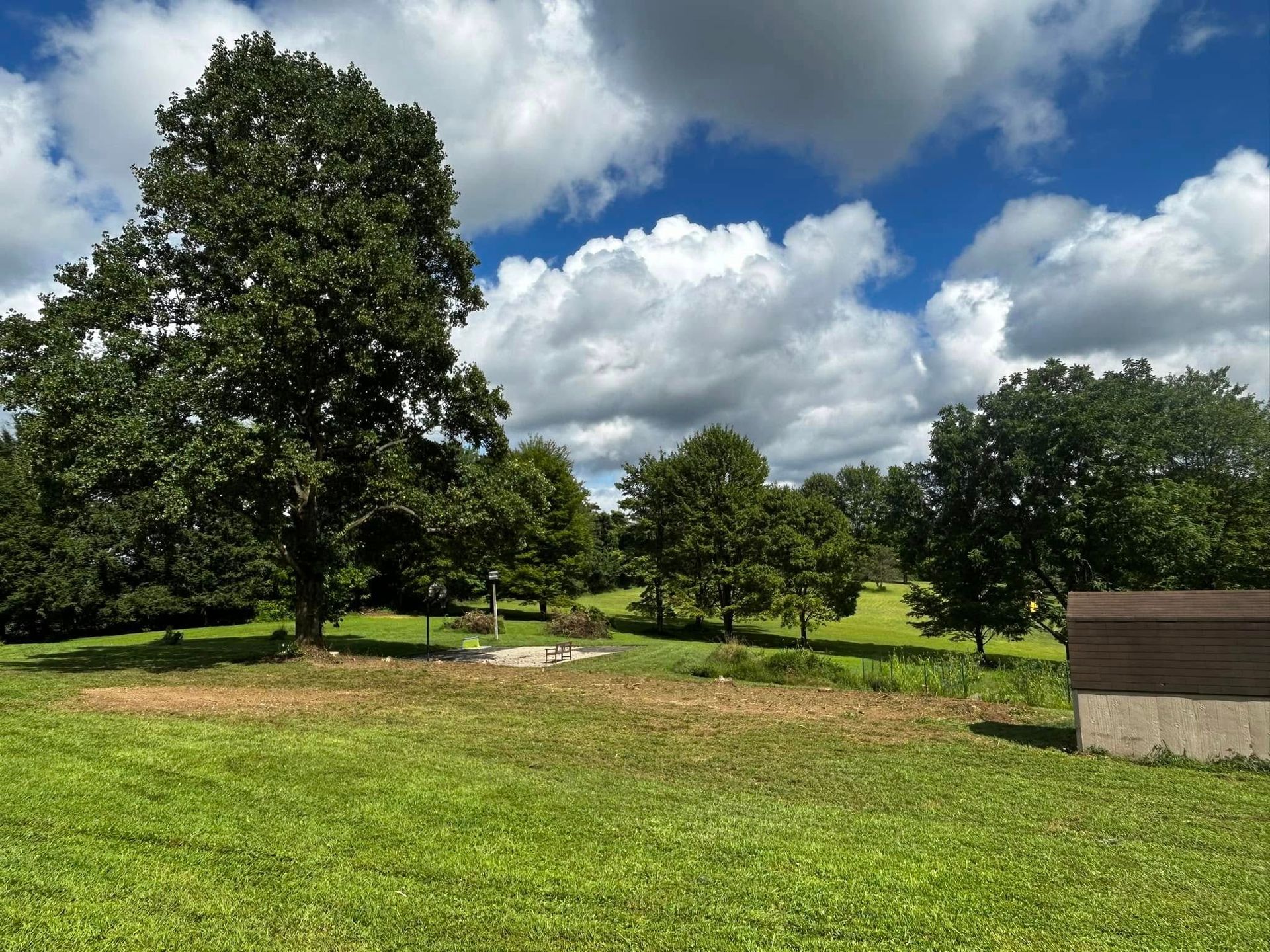 Sunny green park with large trees, grassy field, and a small shed under a cloudy blue sky