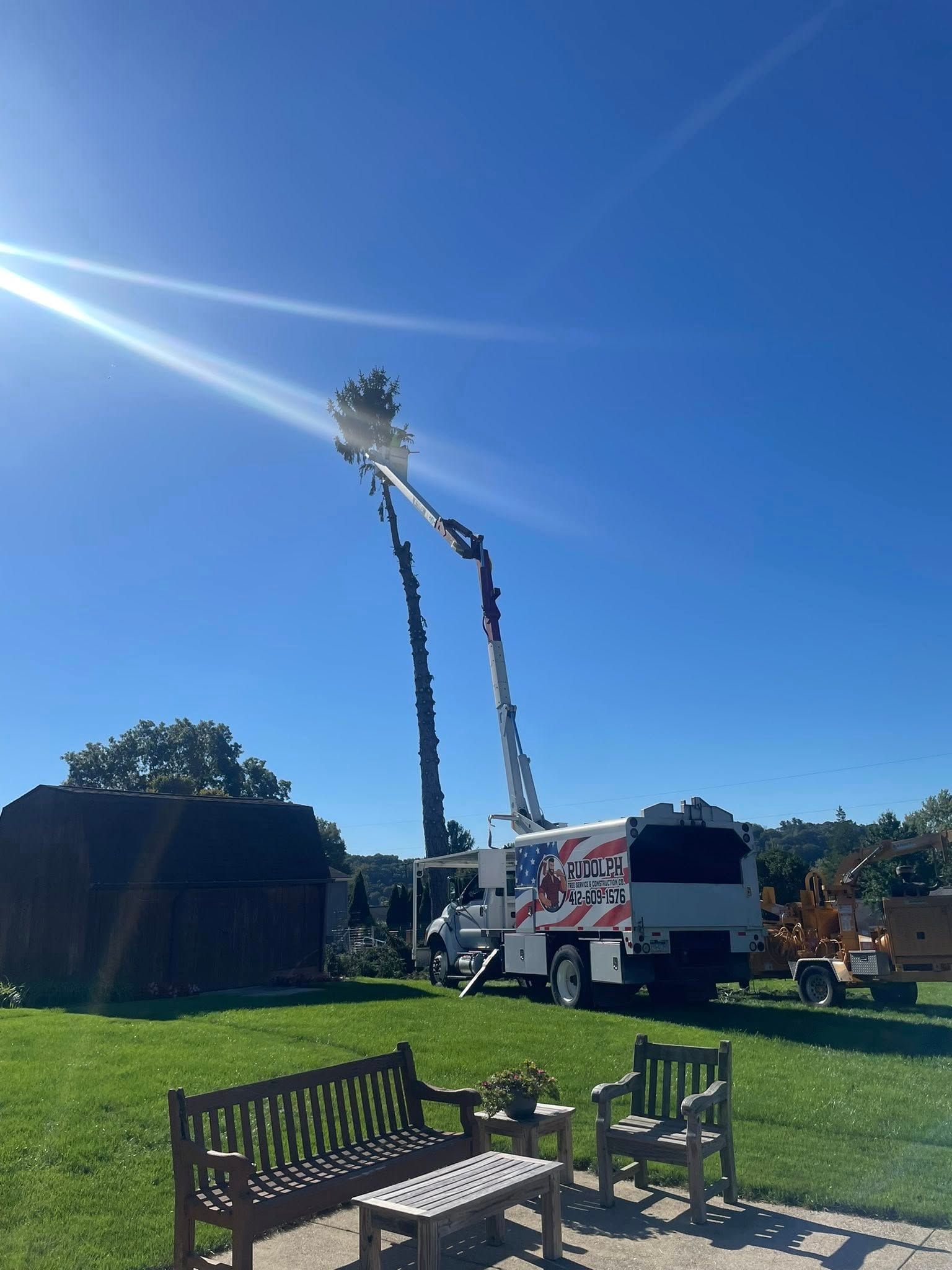 Tree trimming truck using extended boom to cut tall tree in a sunny yard with benches in foreground