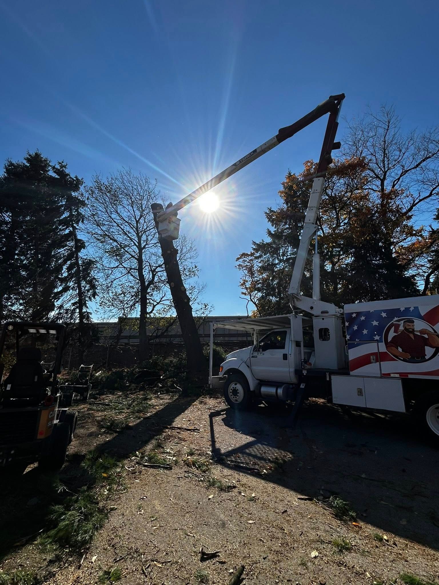 Utility truck lifting a tree branch in bright sunlight on a wooded roadside