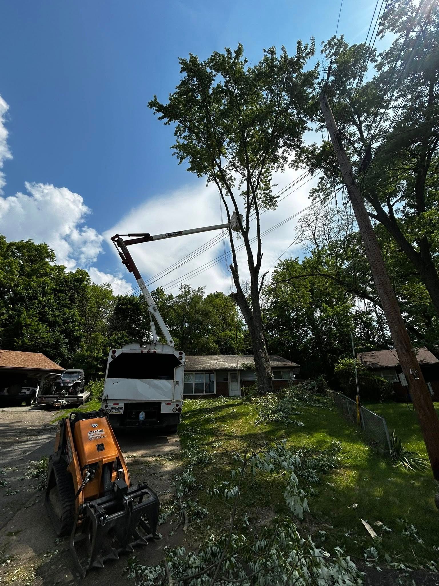 White crane truck lifting a tree in a sunny yard with a small orange machine in the foreground