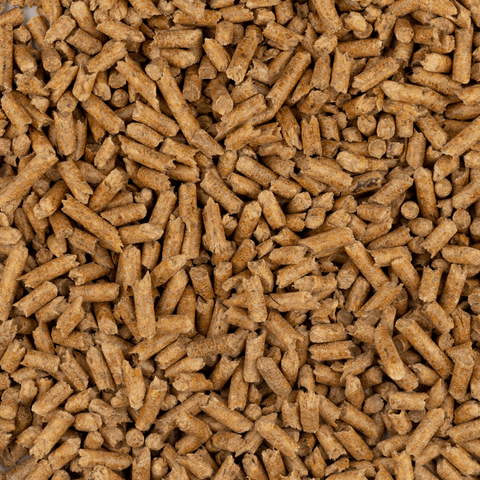ez equine pine pellets