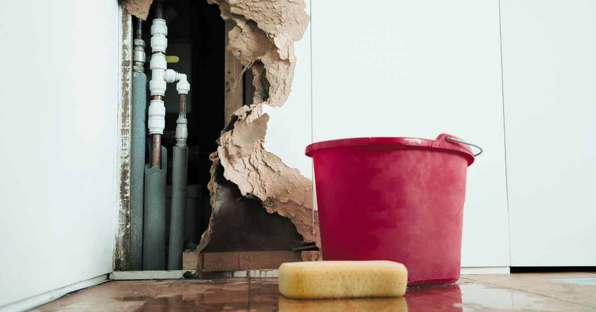 Water damage in a wall, a red bucket, and a yellow sponge on a wet floor.