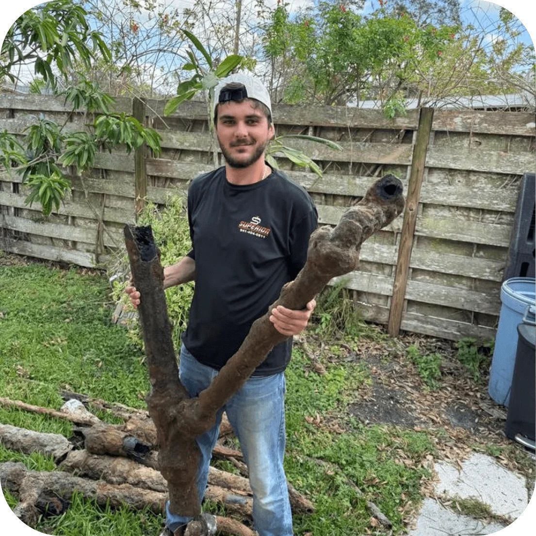 A person in a black shirt and jeans holds a large, Y-shaped piece of dark, rough driftwood in a grassy, fenced yard.