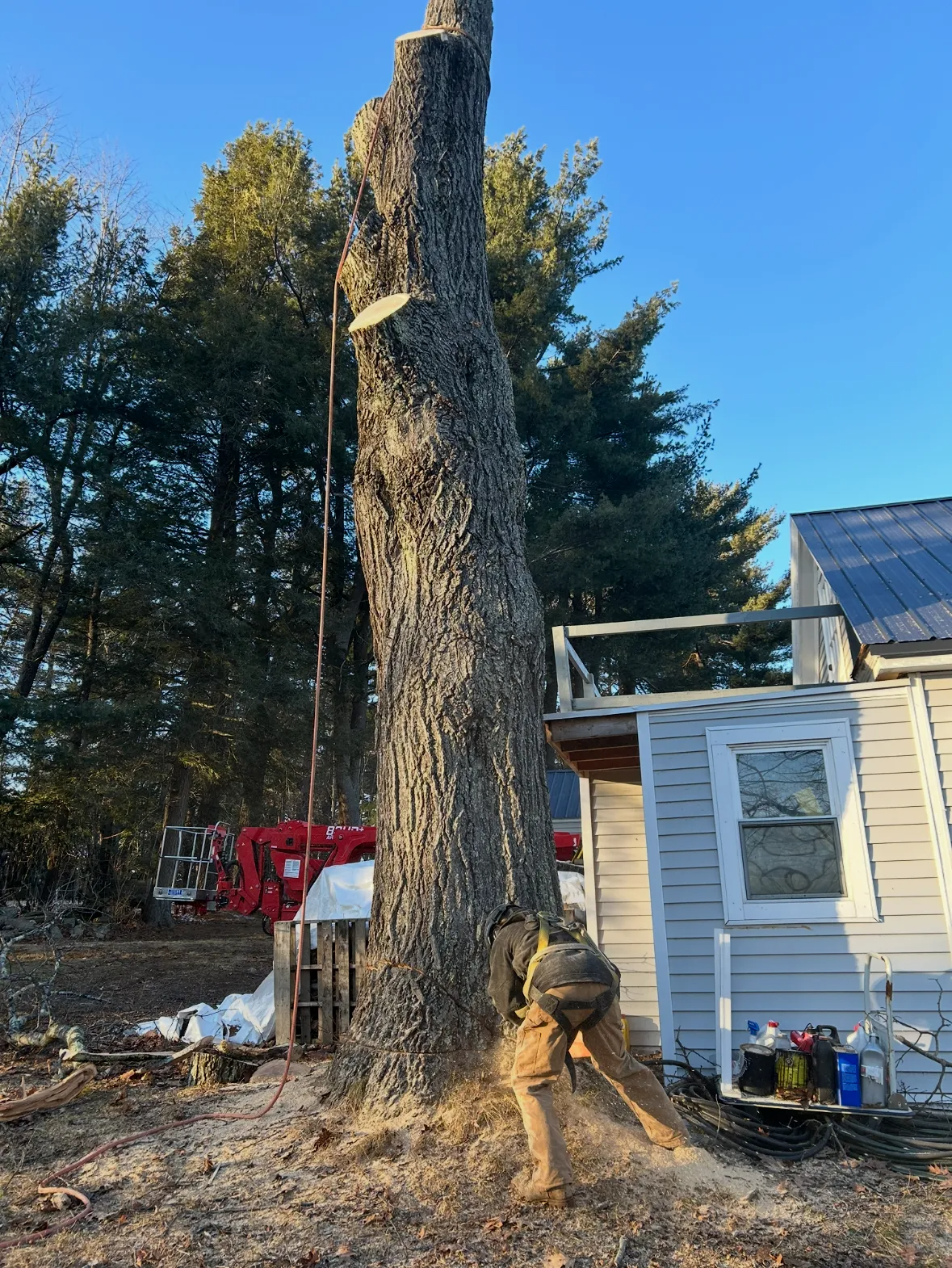 Allied Tree Service Inc