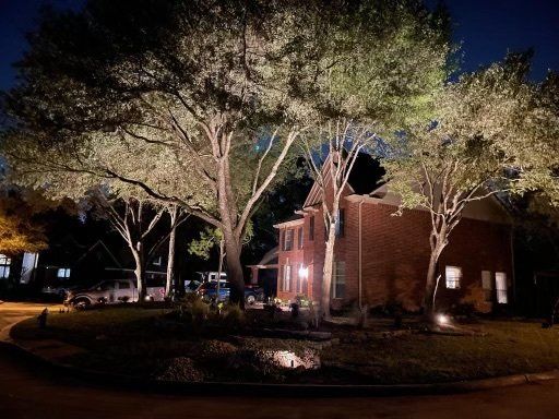 Manicured Landscapes Inc. landscape lighting work