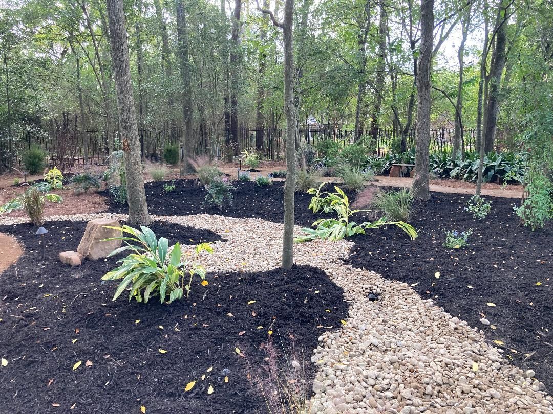 A garden path with dark mulch, light gravel, and green plants, surrounded by trees.