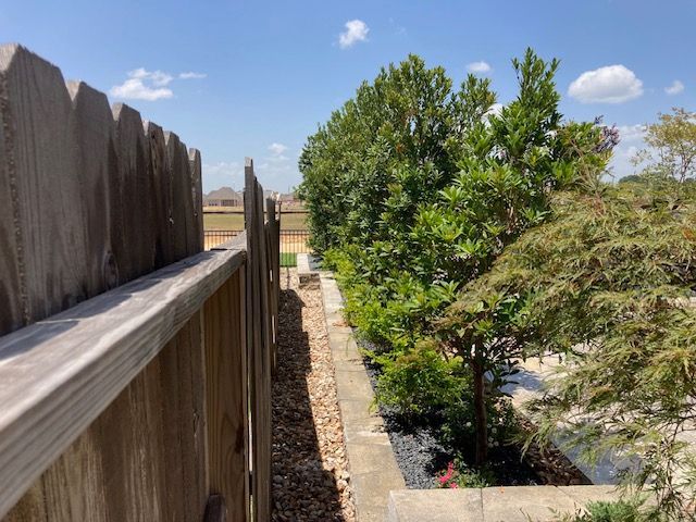 Wooden fence next to a small garden with a line of trees on a sunny day.