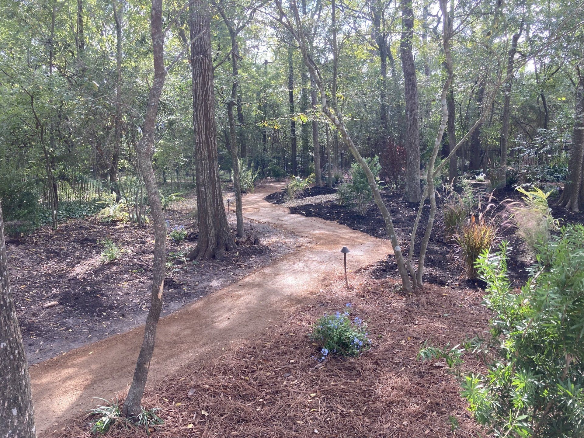 A pathway in landscape