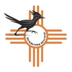 RoadRunner Wellness IV Med Spa - logo