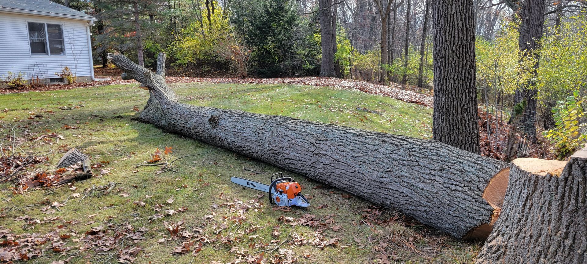 A large log is laying on the ground next to a chainsaw.