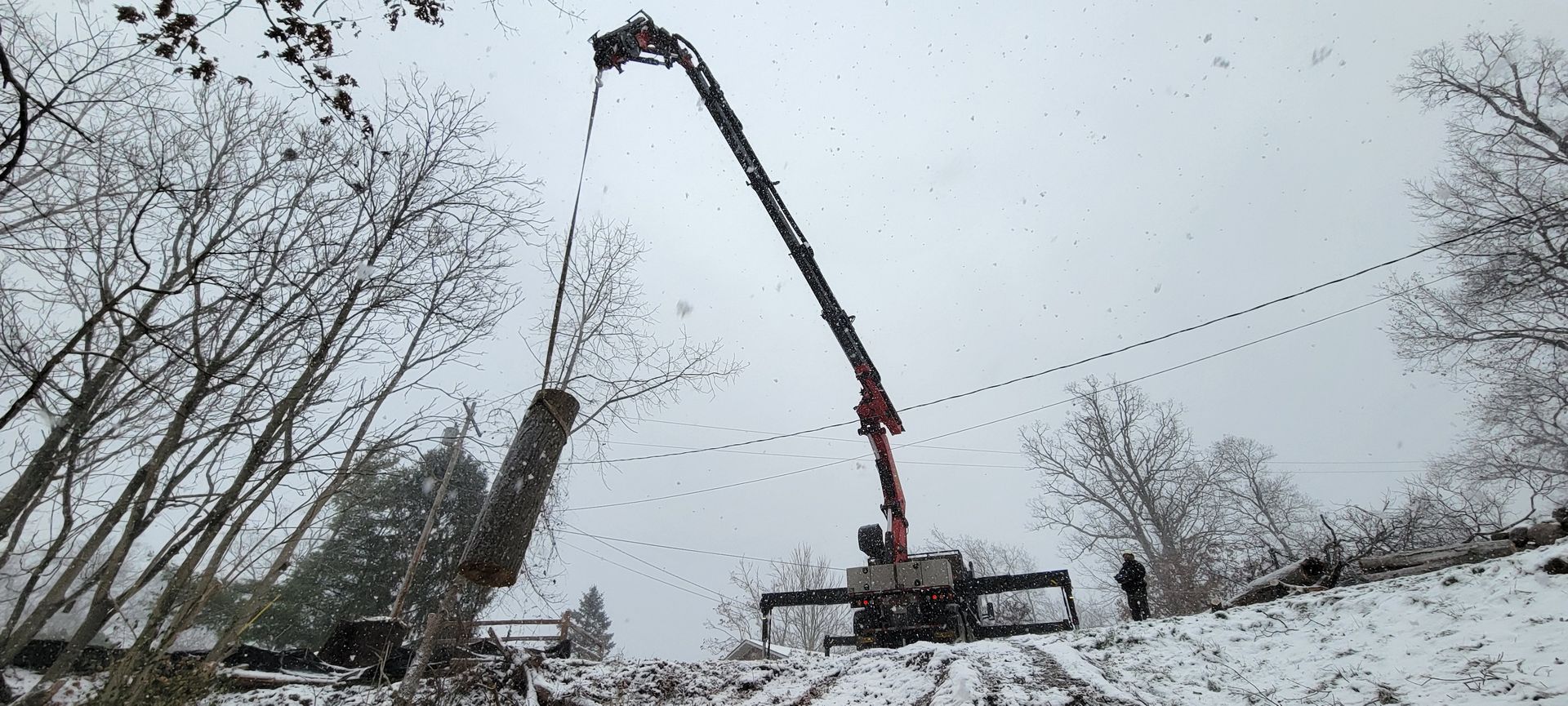 A crane is lifting a tree in the snow.