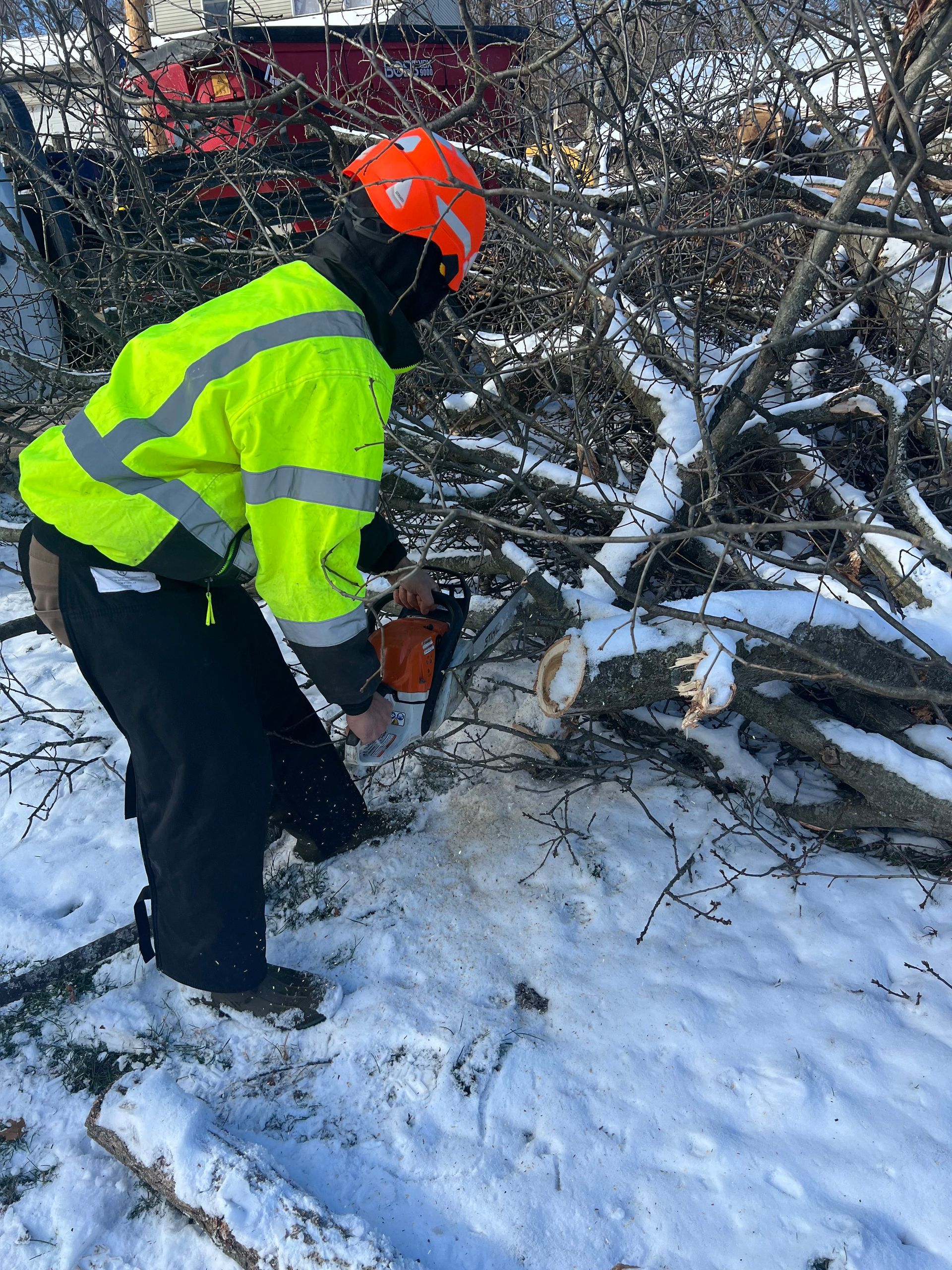 A man is cutting a tree with a chainsaw in the snow.