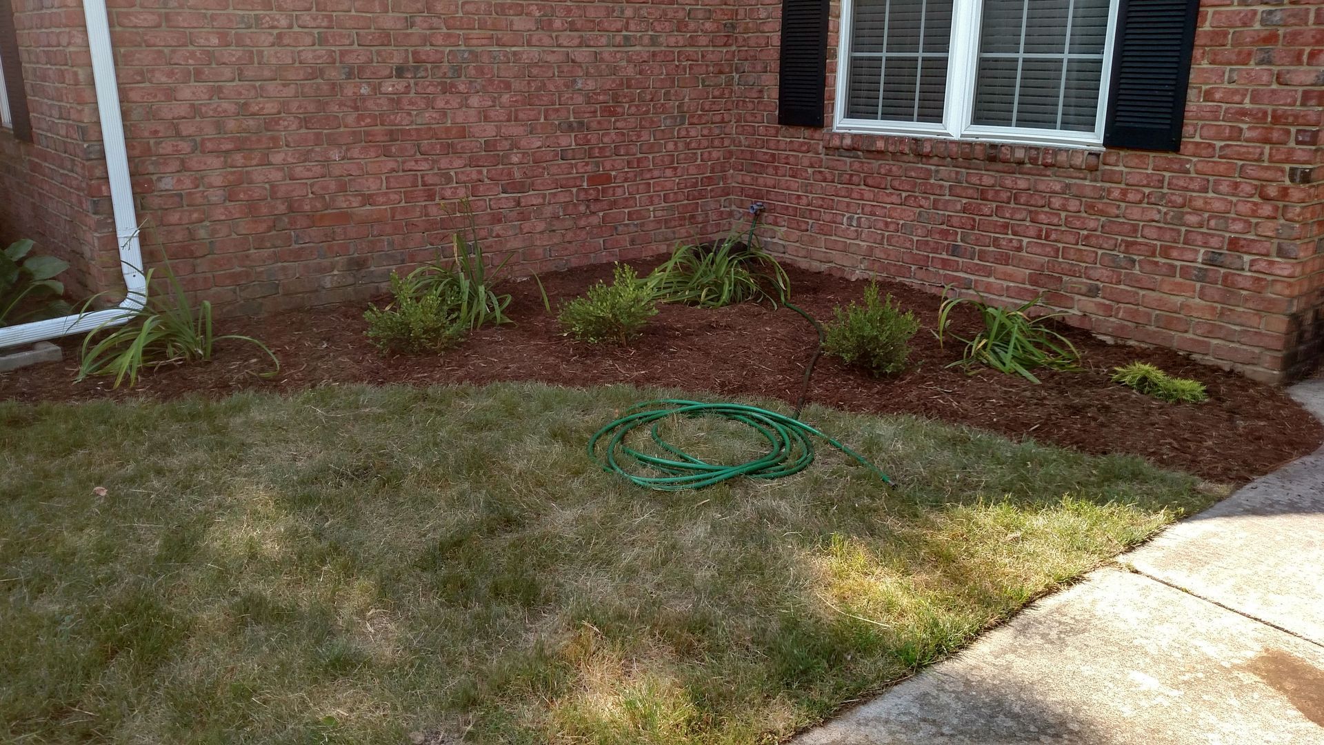 A green hose is sitting in the grass in front of a brick house.