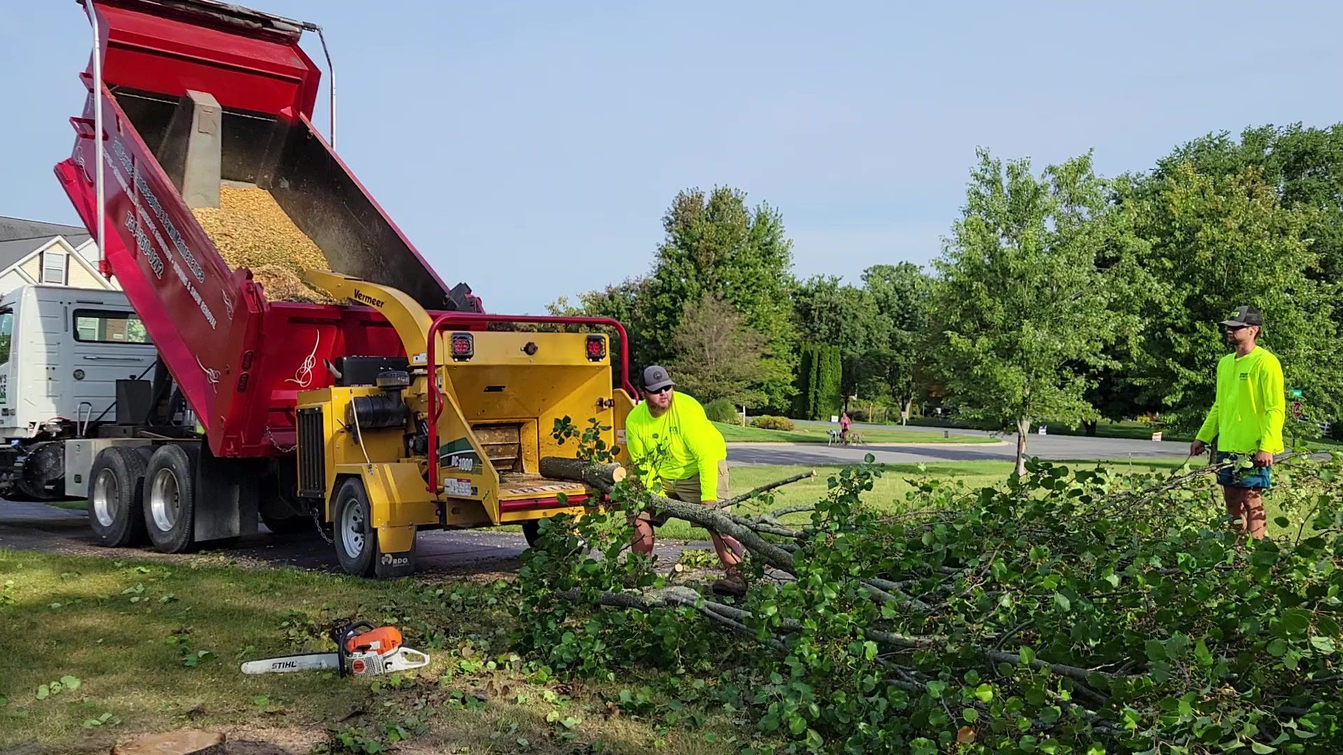 A dump truck is being used to chop trees in a park.