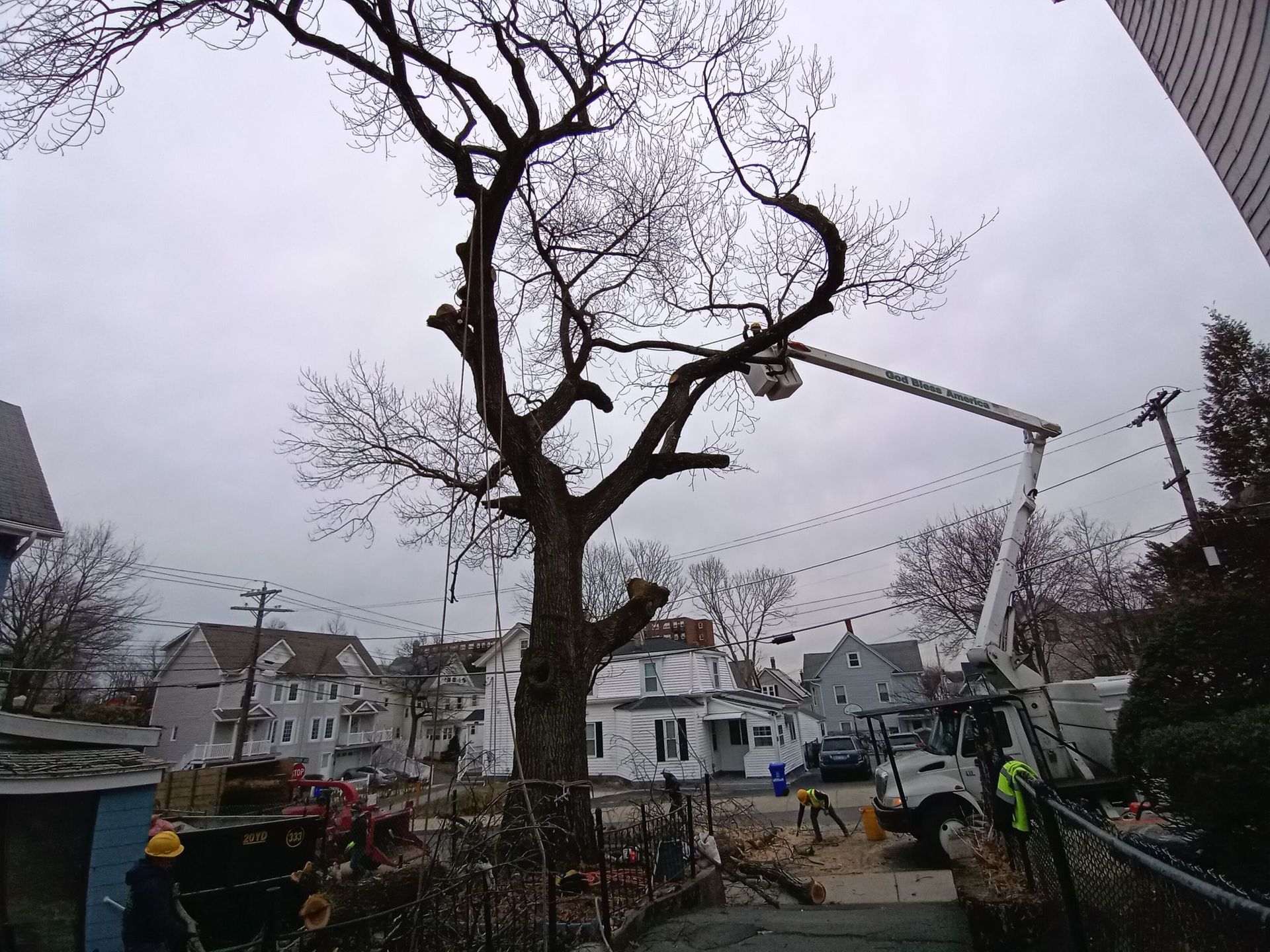 A tree is being cut down by a crane