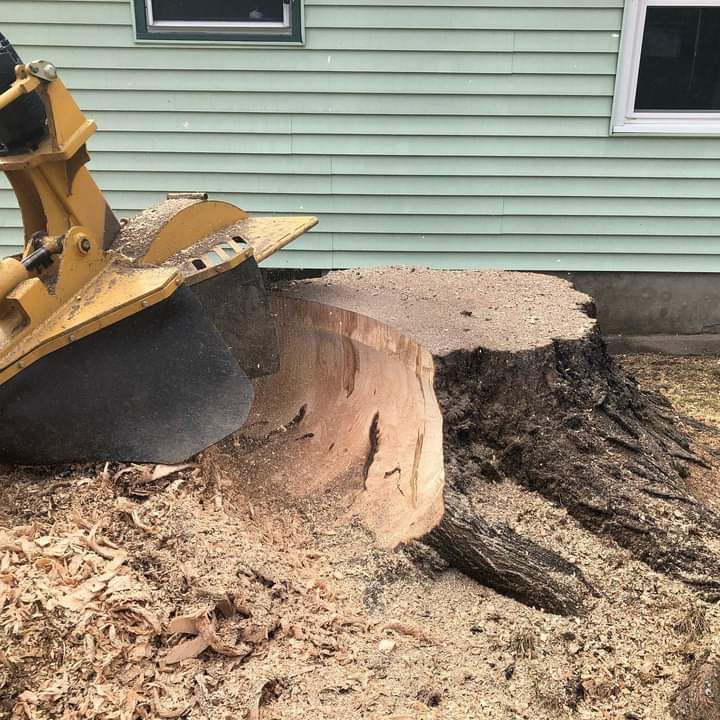 A large tree stump is being removed by a machine in front of a house.