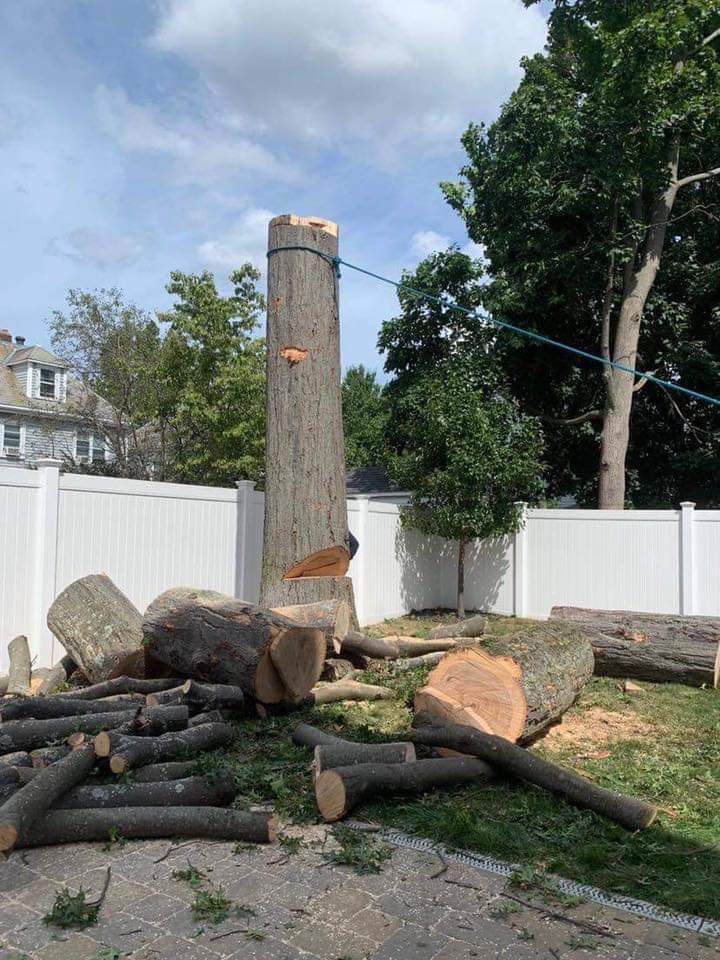 A pile of logs sitting next to a tree stump in a yard.