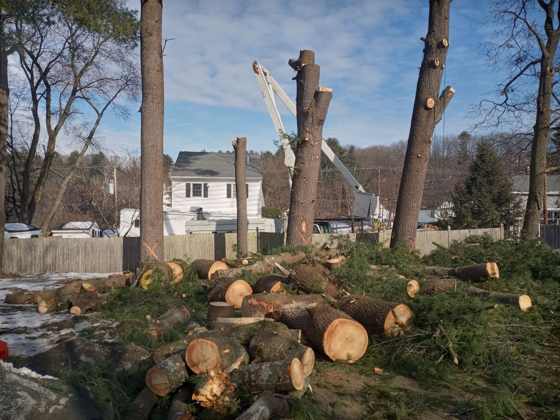 A pile of logs is sitting in front of a house.