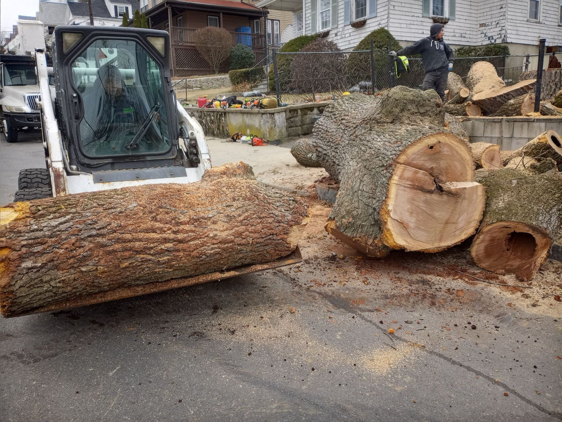 A bulldozer is cutting down a tree on the side of the road.