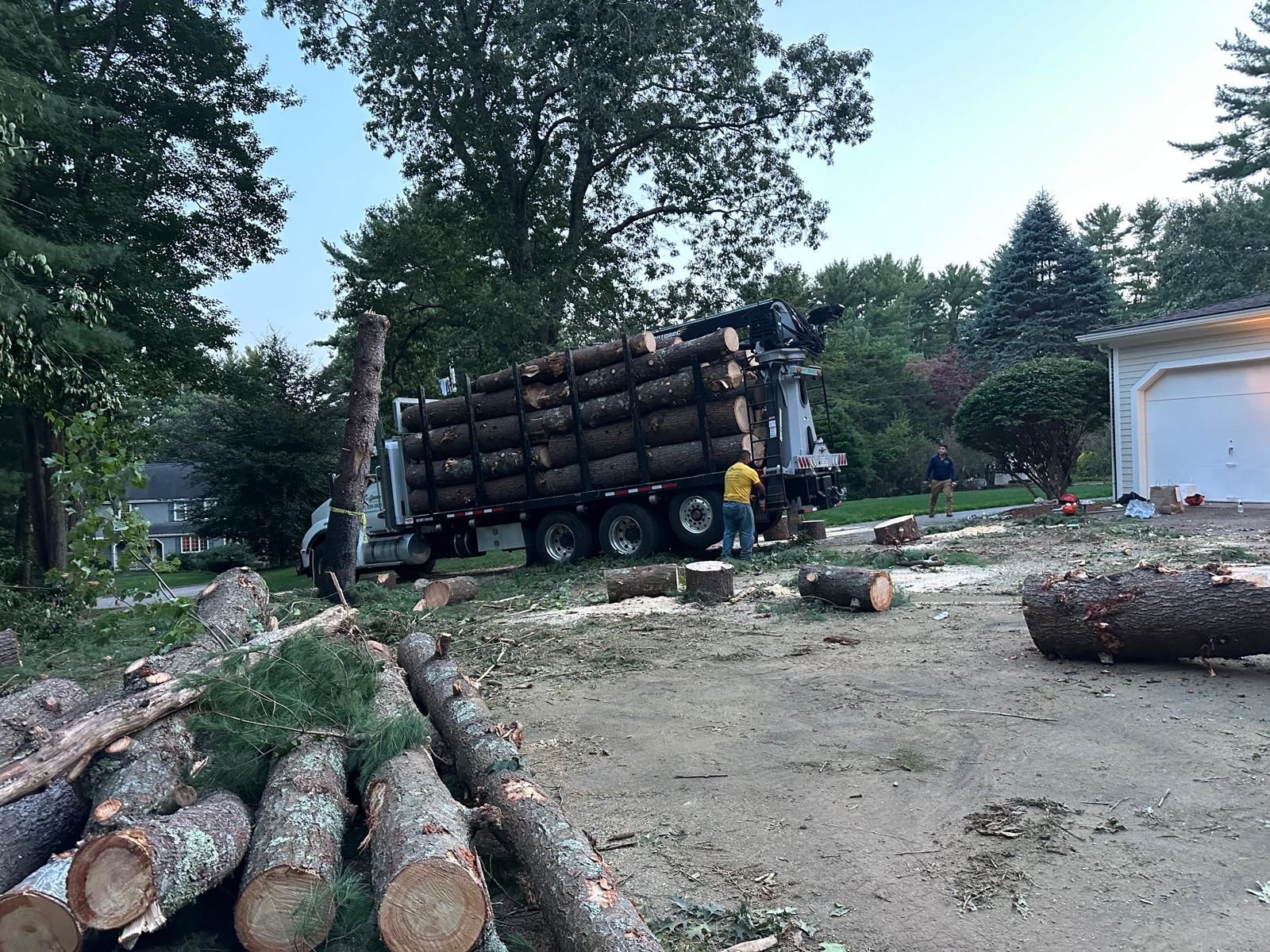 A truck is carrying logs in a yard next to a garage.