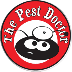 The Pest Doctor - logo