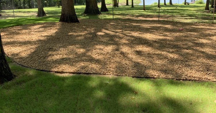 A park with a lot of trees and leaves on the ground.