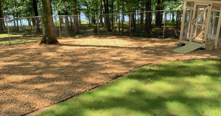 A backyard with a fence and a shed in the woods.