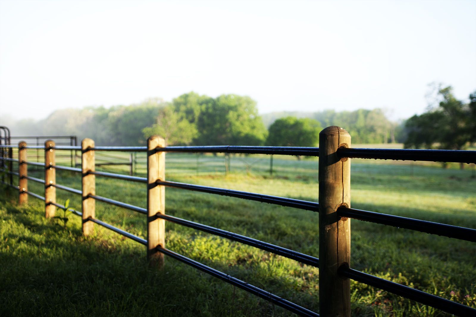 priefert-ponderosa-fence