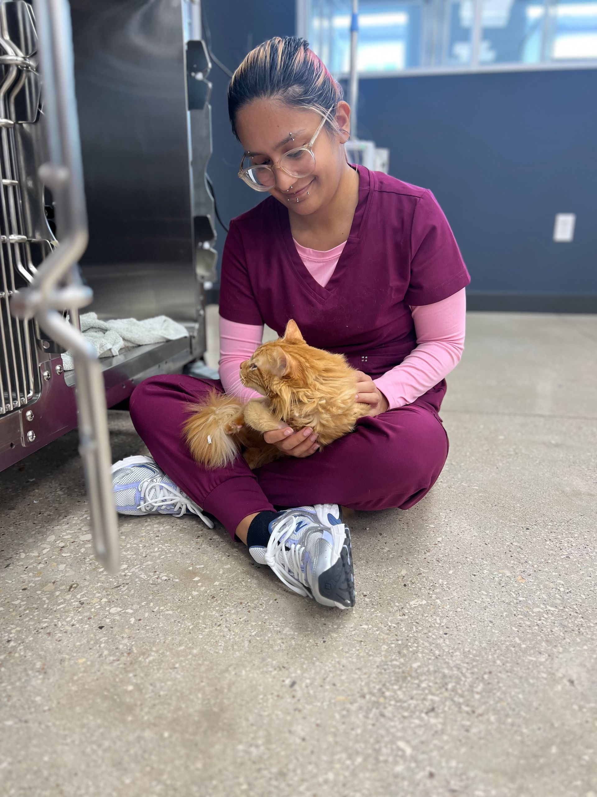 Person in scrubs sits on a kennel floor while holding a fluffy orange cat