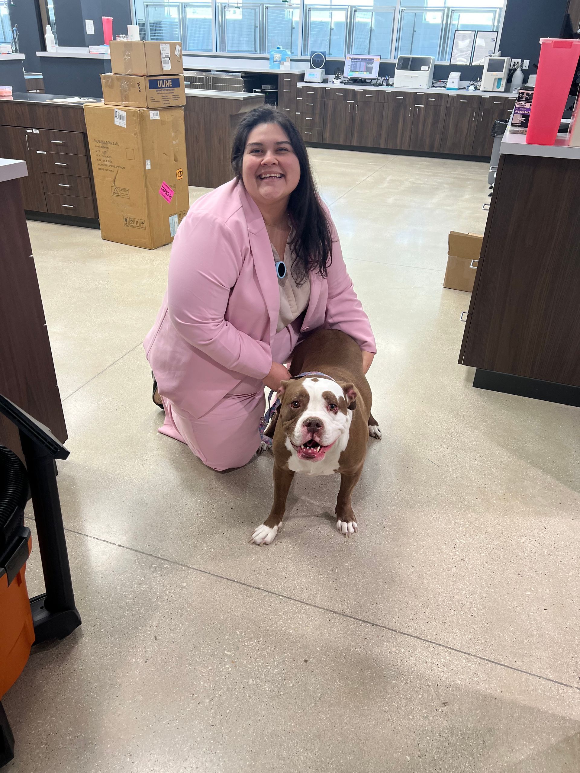 Woman kneels beside a brown-and-white dog